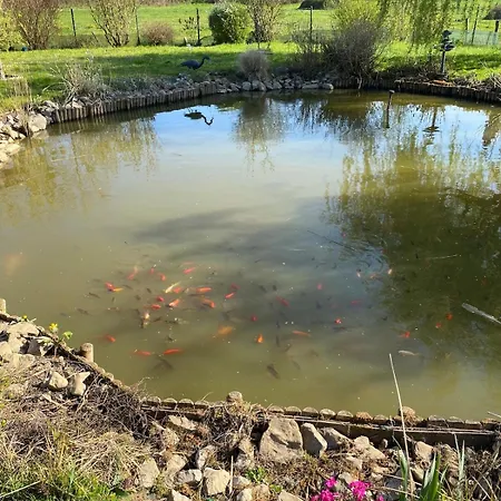 Le Cavronnais * Cavron-Saint-Martin